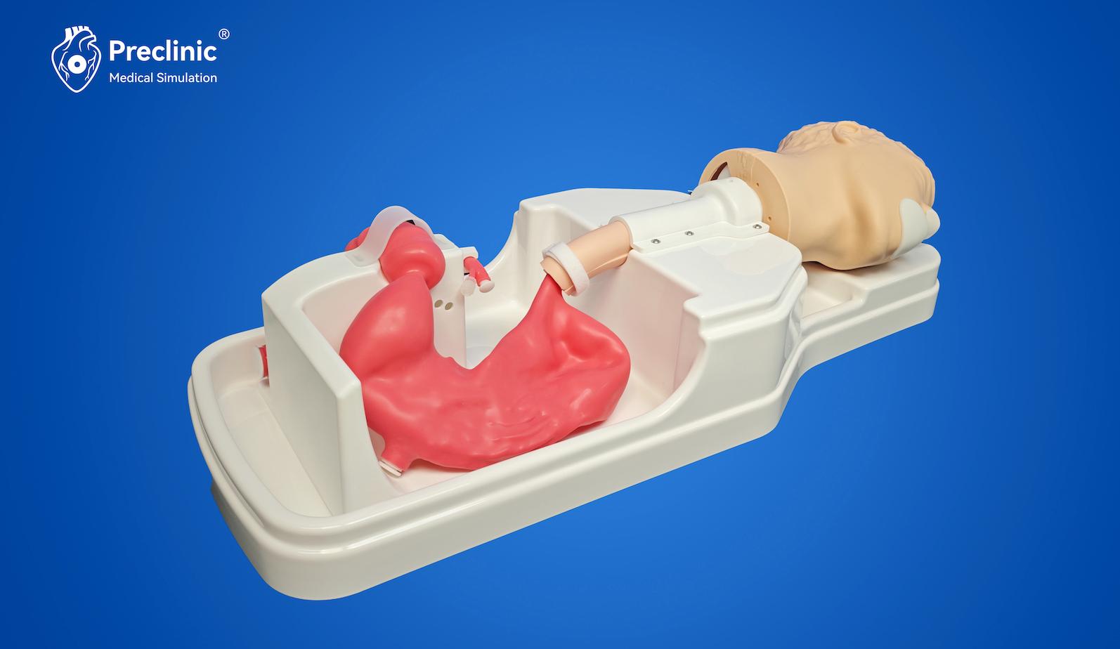 gastrointestinal-simulation-endoscopy-training-system-2.jpg gastrointestinal-simulation-endoscopy-training-system-2.jpg