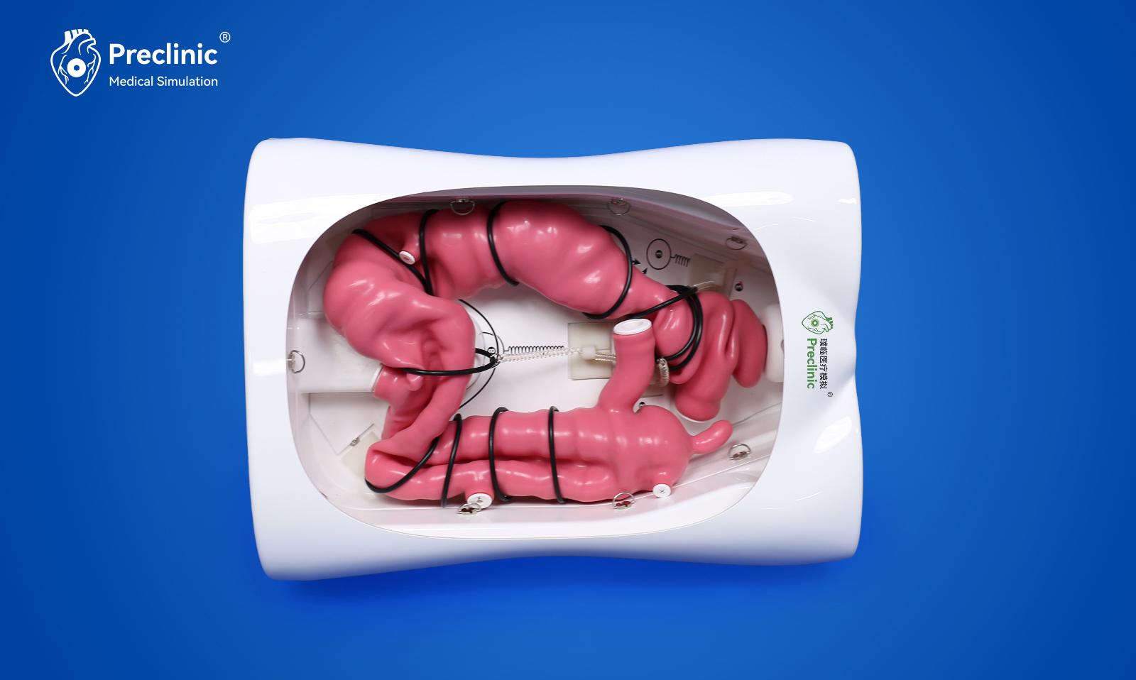 gastrointestinal-simulation-endoscopy-training-system-3.jpg gastrointestinal-simulation-endoscopy-training-system-3.jpg