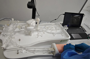 Medical Simulation Industry Trend White Paper (Global Market Analysis 2025+)